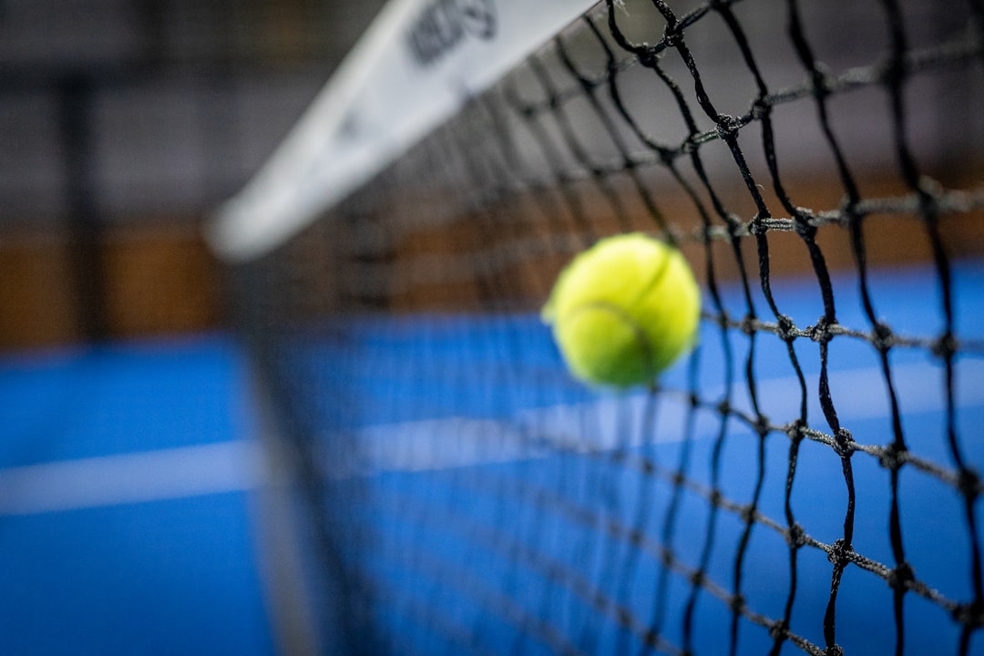 a-tennis-ball-in-a-net-ca3lay8sok0